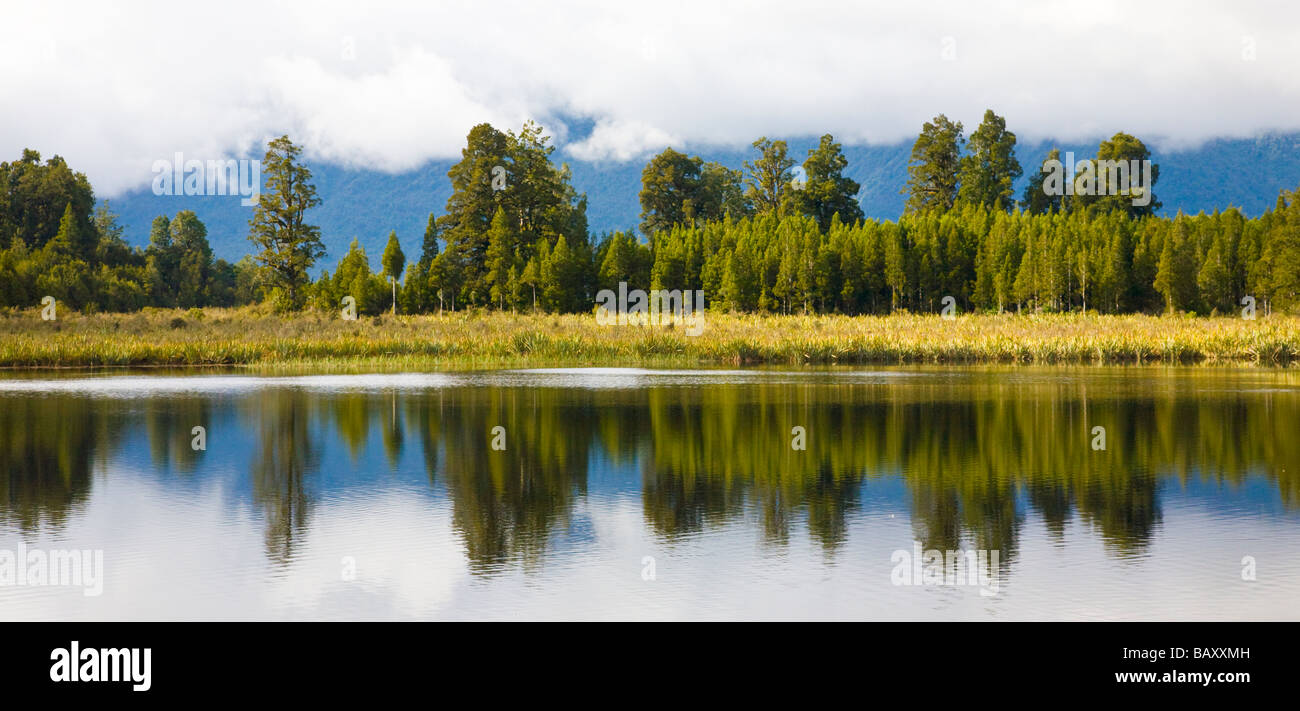 Trees reflected lake matheson South Island New Zealand Stock Photo - Alamy