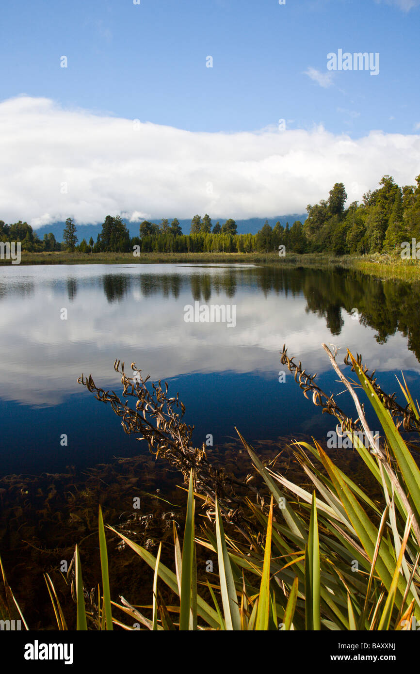 Lake Matheson South Island New Zealand Stock Photo - Alamy