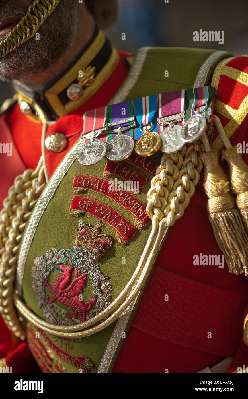 insignia and military campaign medals on the dress tunic of a Royal Regiment of Wales soldier Stock Photo