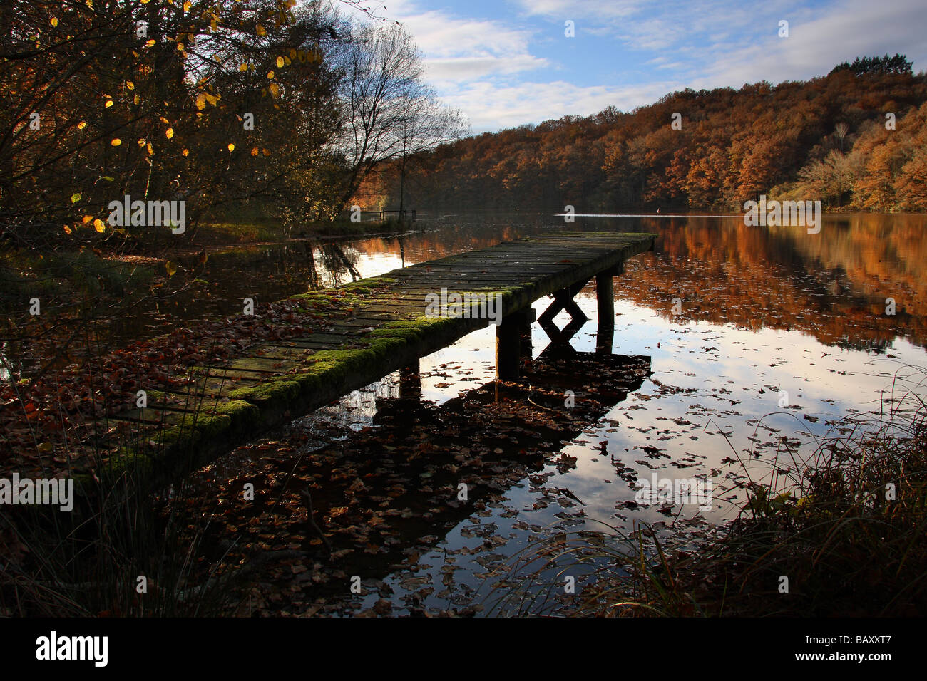 An old jetty on a river. Sunlit autumn trees on the far bank. Evening sky reflected in the water. Stock Photo