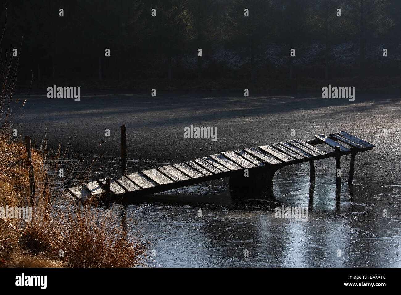 a tumble down jetty on a frozen lake in the Limousin region of France strong side lighting grasses in the foreground Stock Photo