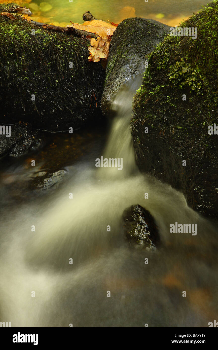 Leaves in a waterfall close up hi-res stock photography and images - Alamy