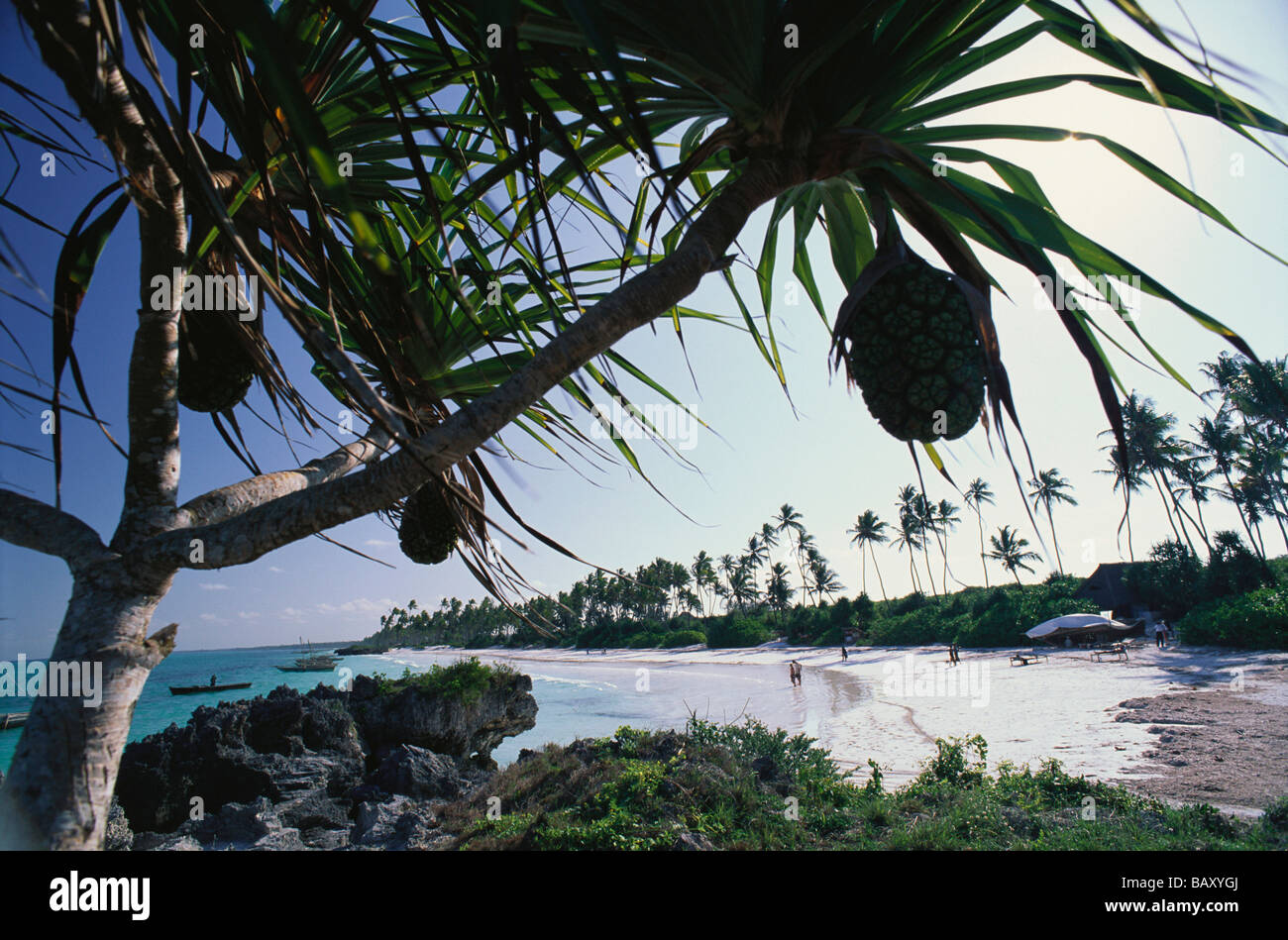 Beach at Matemwe Bungalows, Matemwe village, East Coast, Zanzibar