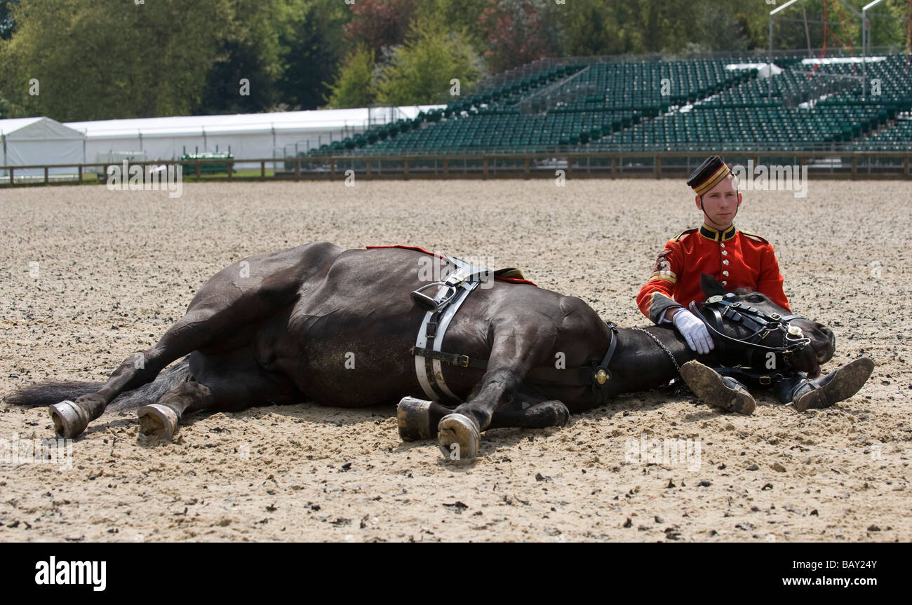 Horse routine at Windsor Royal Tattoo 2009 Stock Photo
