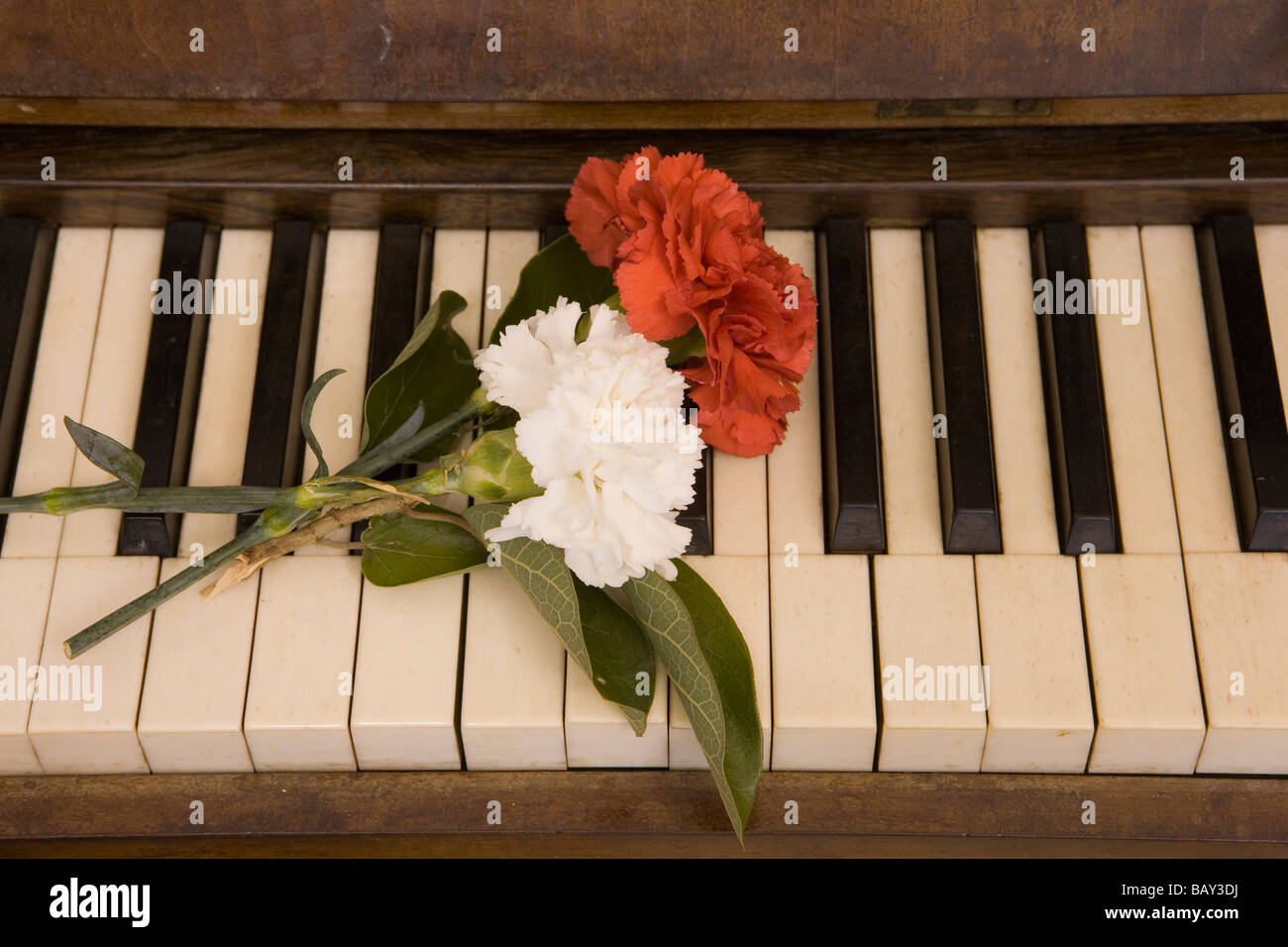 Fresh Carnation Flowers on Piano of Frederic Chopin, Cell No. 2 of Chopin & Sand in Real Cartuja Royal Charterhouse of Valldemos Stock Photo