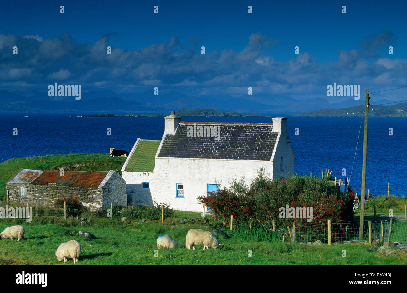 Cottage, farmhouse along the coast, Ring of Beara, County Kerry