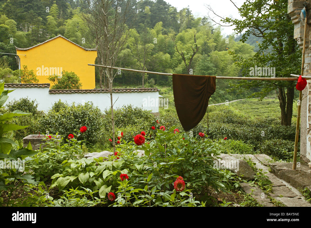 Idyllic garden of the nunnery at the village Minyuan, Jiuhua Shan, Anhui province, China, Asia Stock Photo