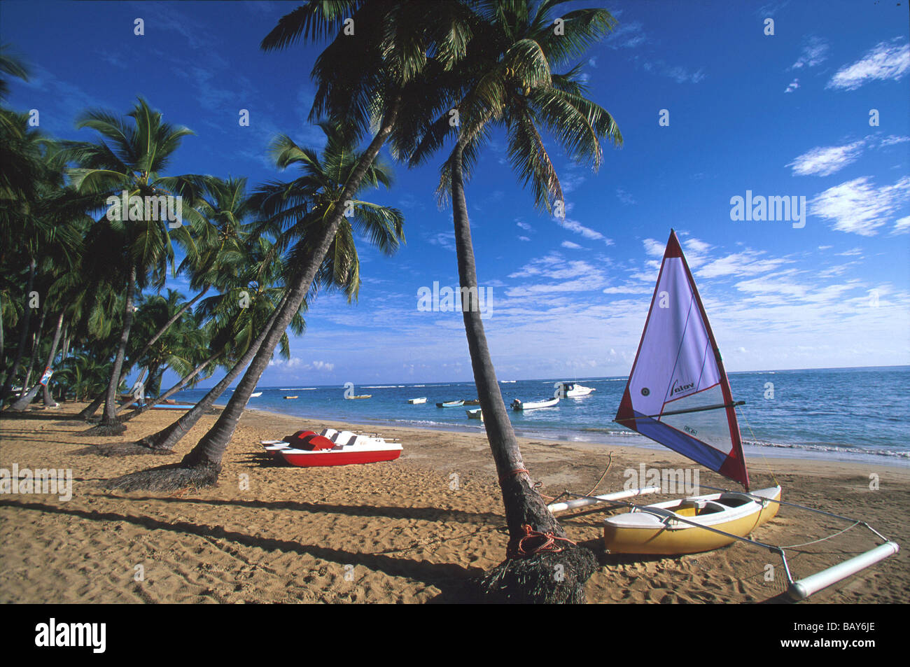Coconut Trees and boats on Cacao Beach, Las Terrenas, Dominican