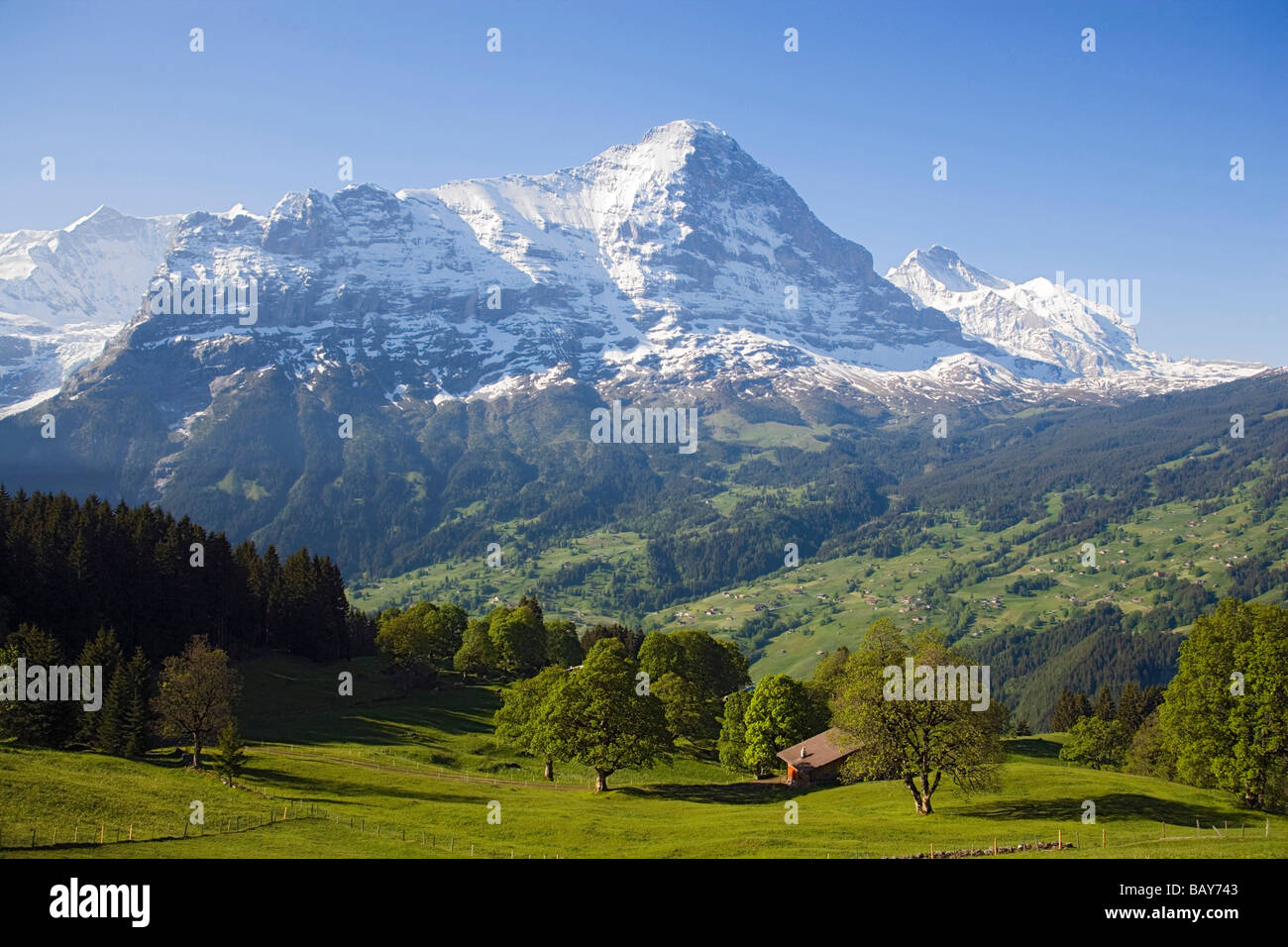 View to Eiger north face (3970 m), Grindelwald, Bernese Oberland  (highlands), Canton of Bern, Switzerland Stock Photo - Alamy