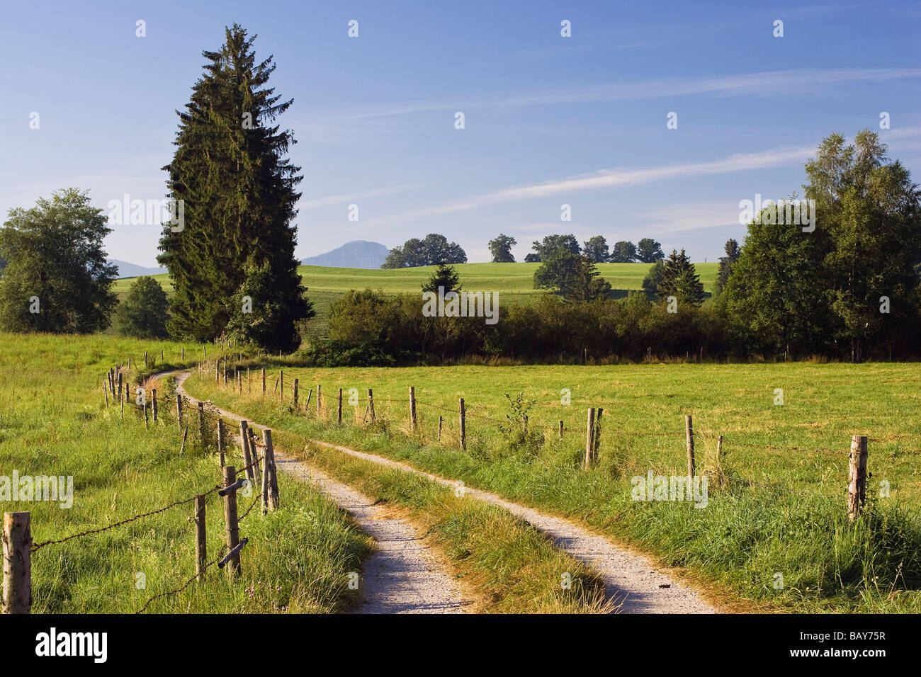 Track winding across meadows, Alpine Upland, Bavaria, Germany Stock Photo