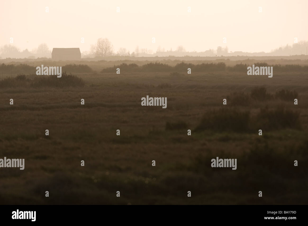 Marsh land mist hi-res stock photography and images - Alamy