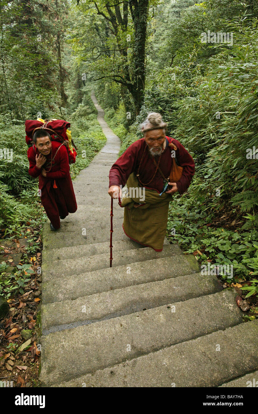 Pilgrims going upstairs in the forest, Emei Shan, Sichuan province, China, Asia Stock Photo