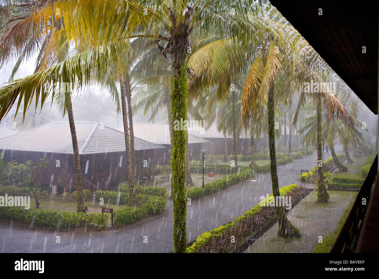 Monsoon rain, Damai Beach, Sarawak, Borneo, Malaysia Stock Photo Alamy