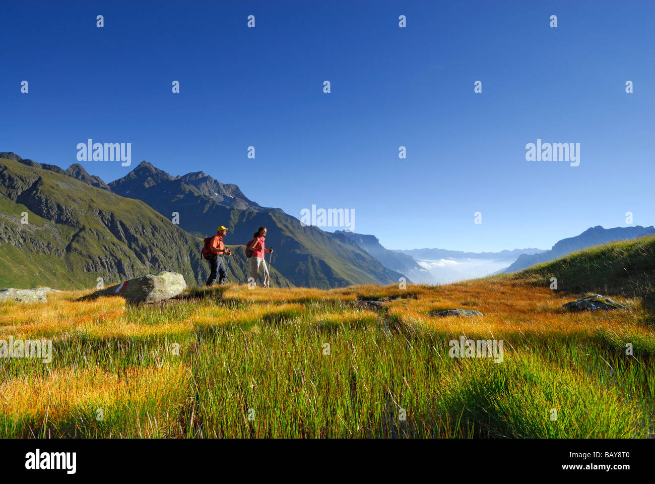 couple hiking on marsh meadow in autumn colours with Habicht in background, fog bank in valley Gschnitztal, Stubaier Alpen range Stock Photo