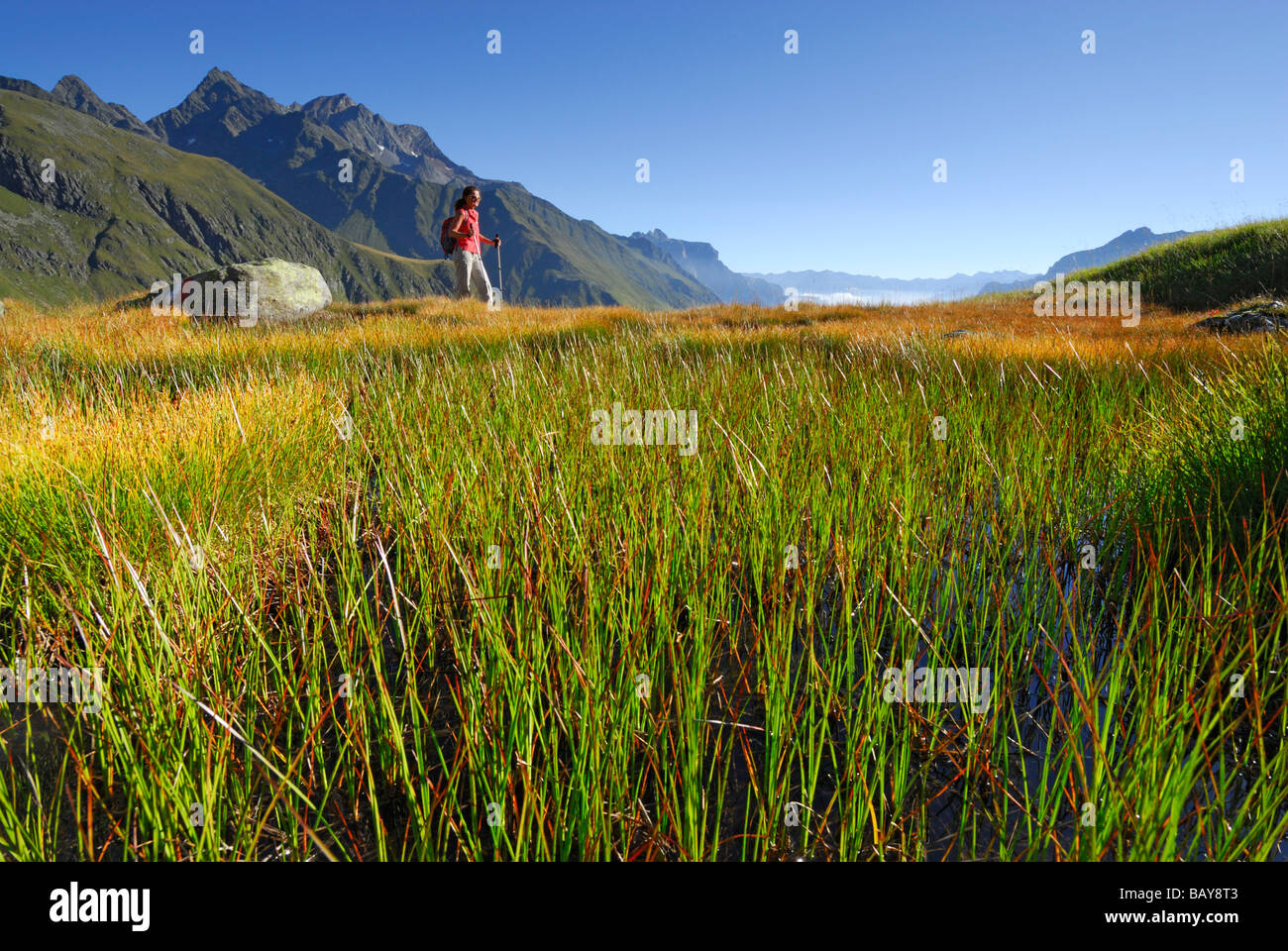 young woman hiking on marsh meadow in autumn colours with Habicht in background, fog bank in valley Gschnitztal, Stubaier Alpen Stock Photo
