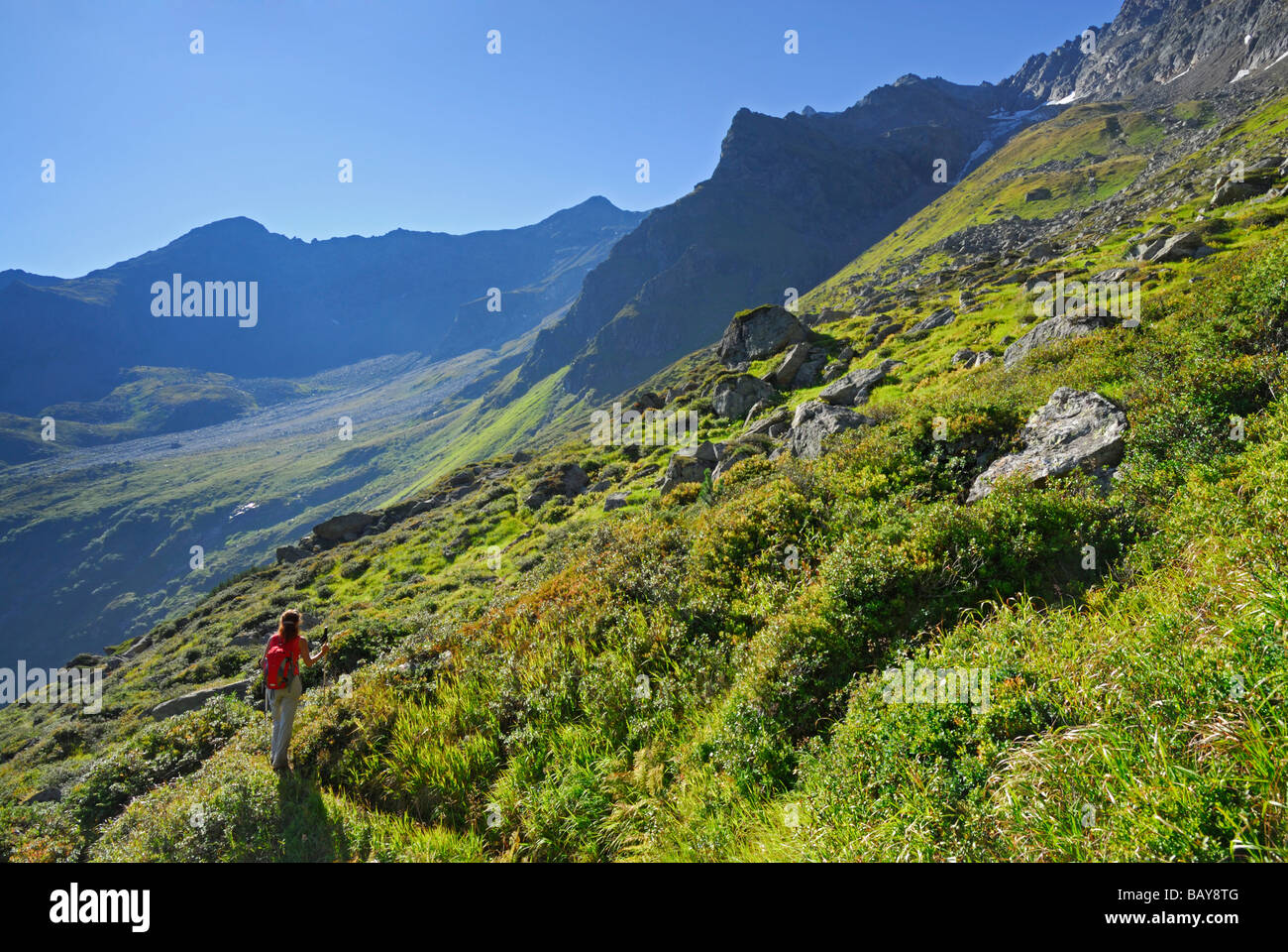 young woman hiking in lush green cirque, Stubaier Alpen range, Stubai, Tyrol, Austria Stock Photo