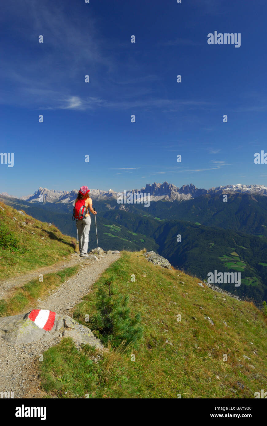 young woman on trail with view to Dolomites with Peitlerkofel, Geislergruppe and Sella range, hut Radlseehuette, Sarntaler Alpen Stock Photo