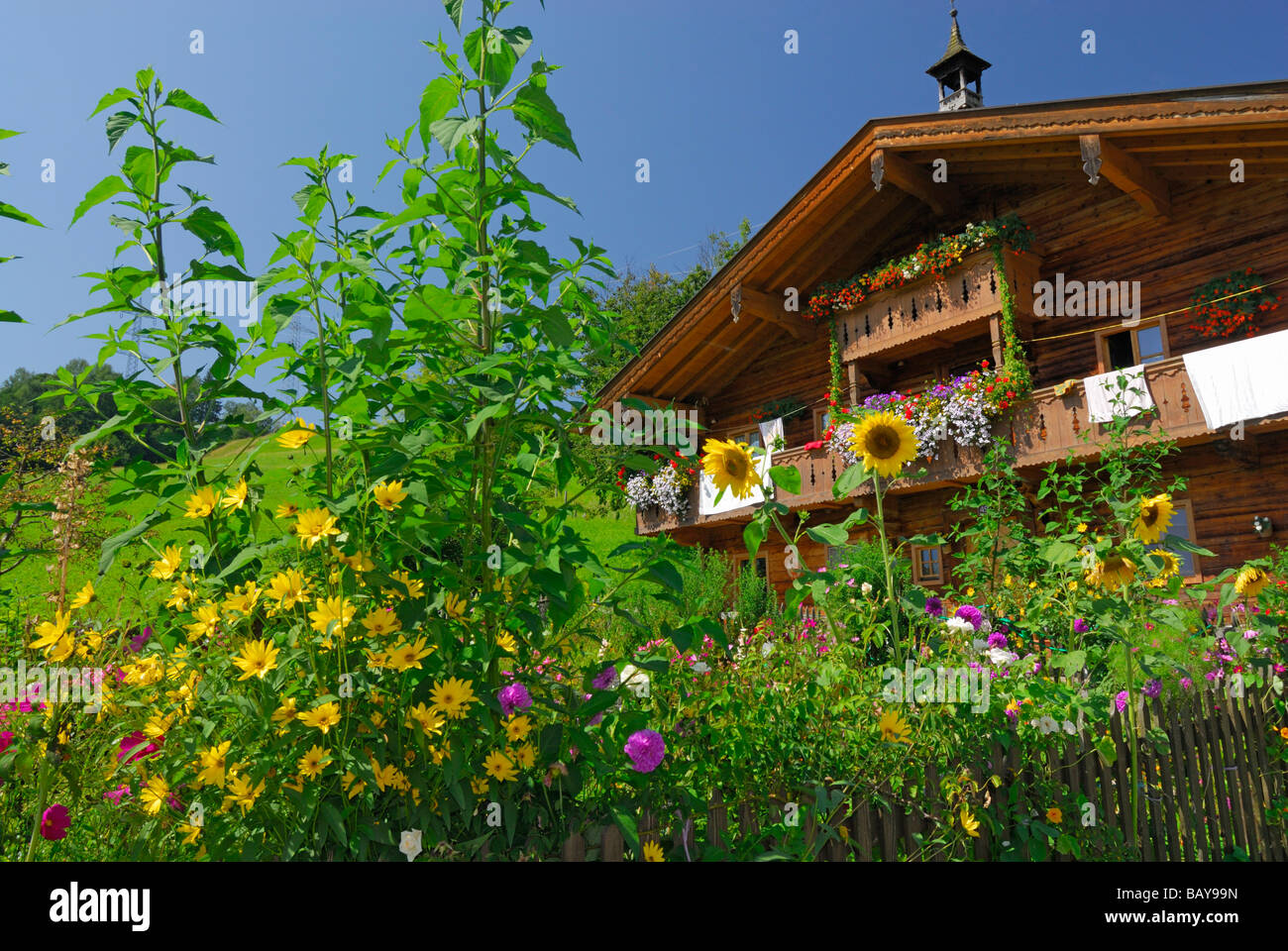 garden and farmhouse, Maria Alm, Steinernes Meer range, Berchtesgaden range, Salzburg, Austria Stock Photo