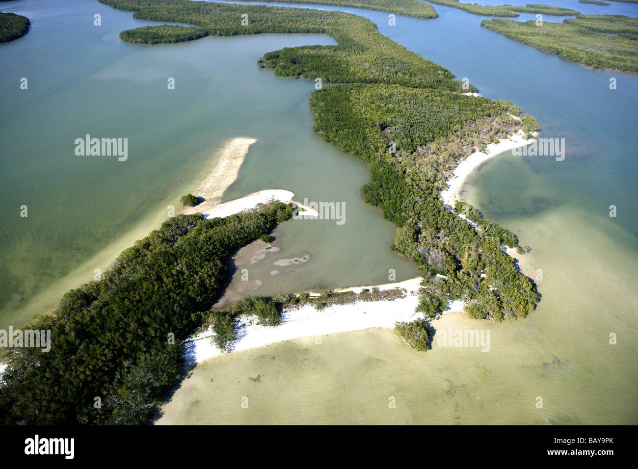 Aerial view of mangroves at Ten Thousand Islands National Wildlife Refuge, Florida, USA Stock Photo