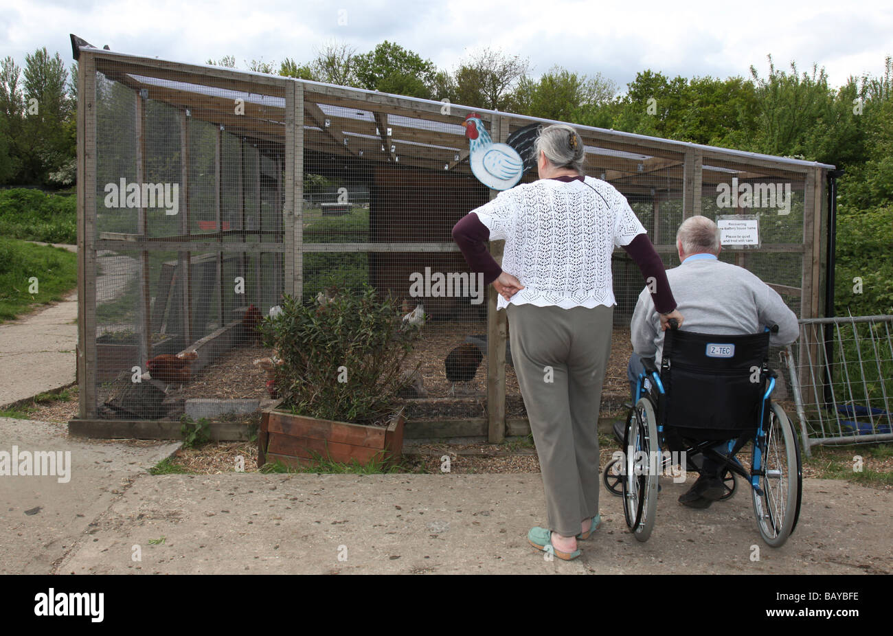 Lady with her wheelchair bound husband on an outing to a farm coping