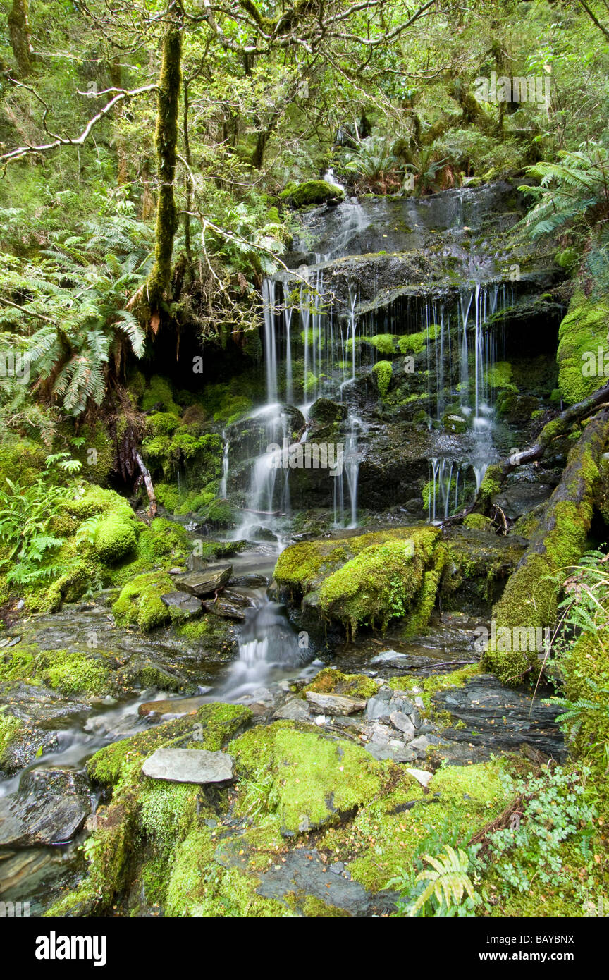 Waterfall in West Matukituki Valley Mt Aspiring NP South Island New Zealand Stock Photo