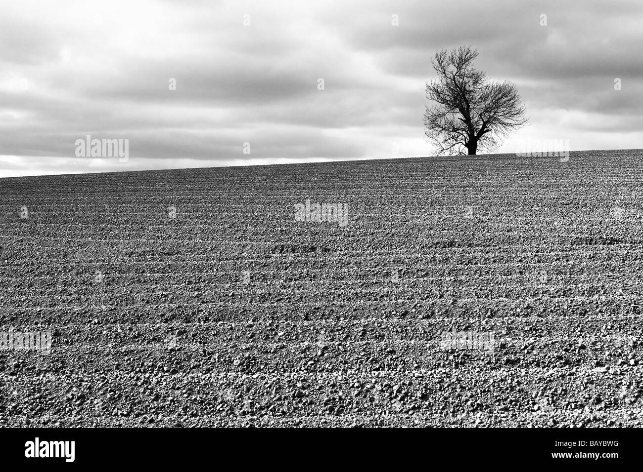 Furrowed field in the Vale of York, North Yorkshire Stock Photo