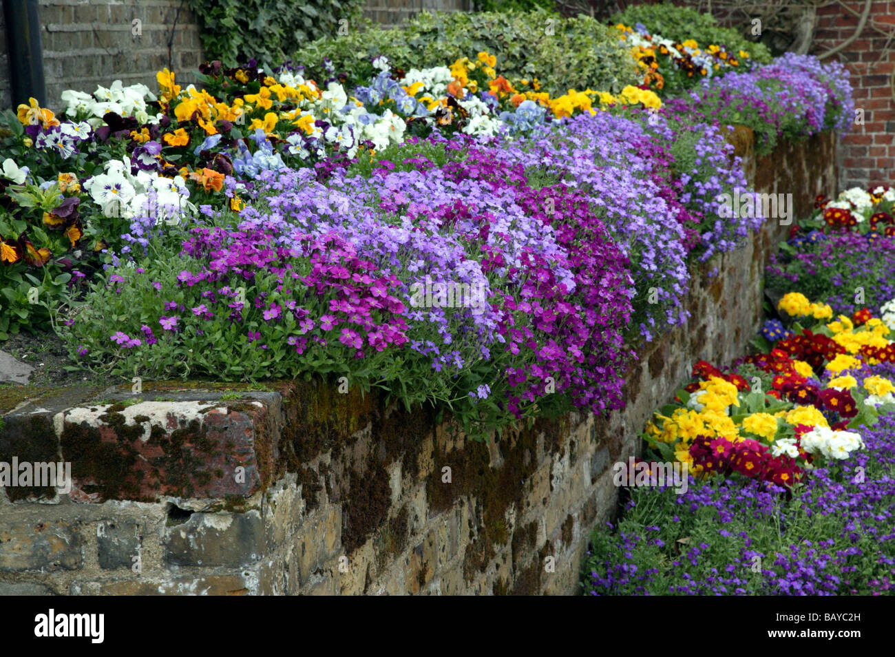 Spring flowers in the Formal Gardens by the Homesteads in Beckenham Place Park, Lewisham Stock Photo