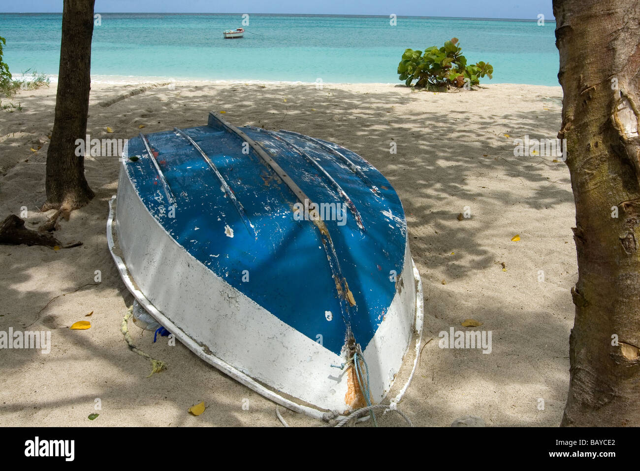 Upturned tree on beach hi-res stock photography and images - Alamy