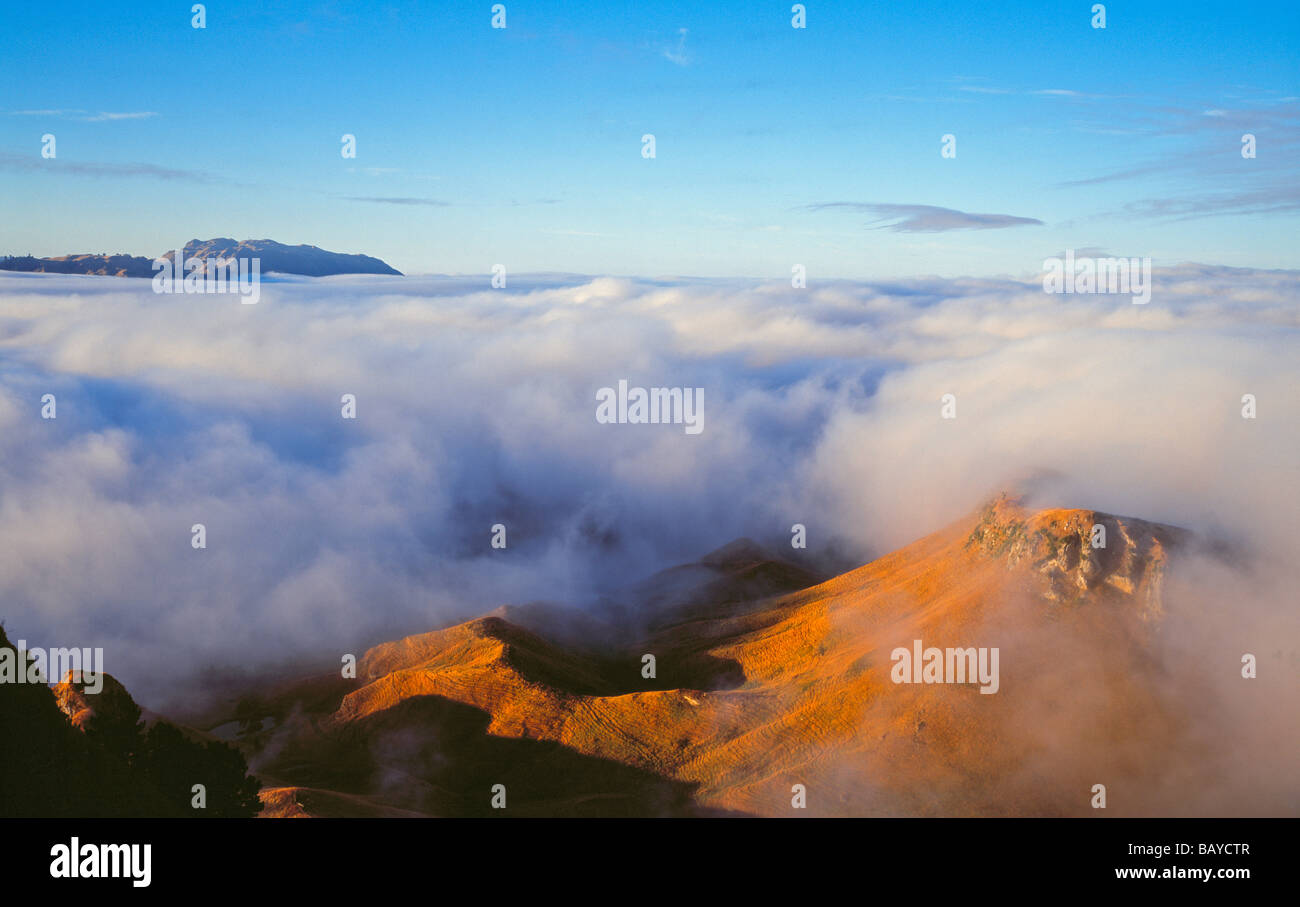 Above the clouds at sunrise Te Mata Peak Havelock North North Island New Zealand Stock Photo