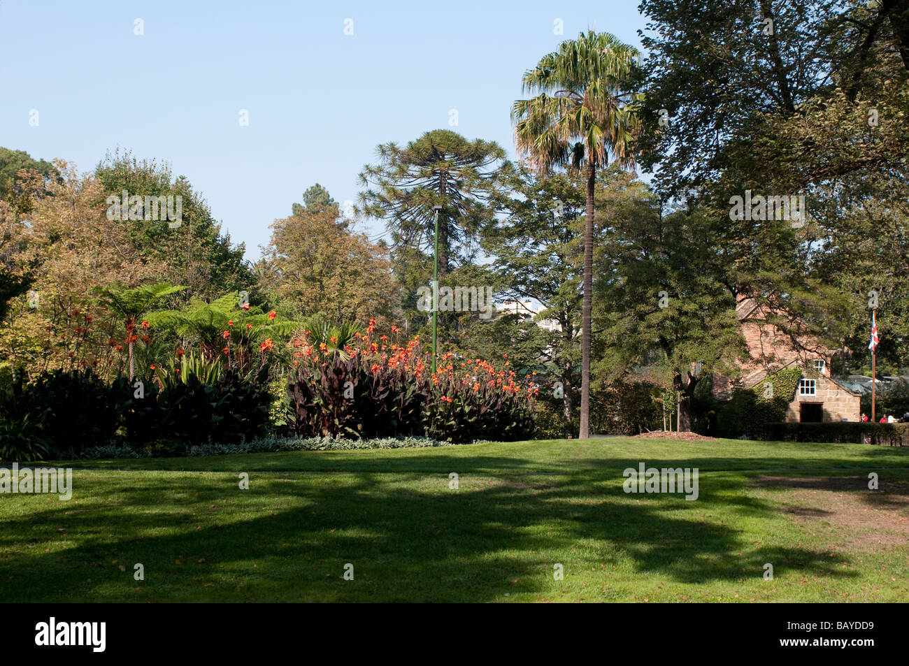 Canna flowers and Captain Cook's Cottage in Fitzroy Gardens Melbourne