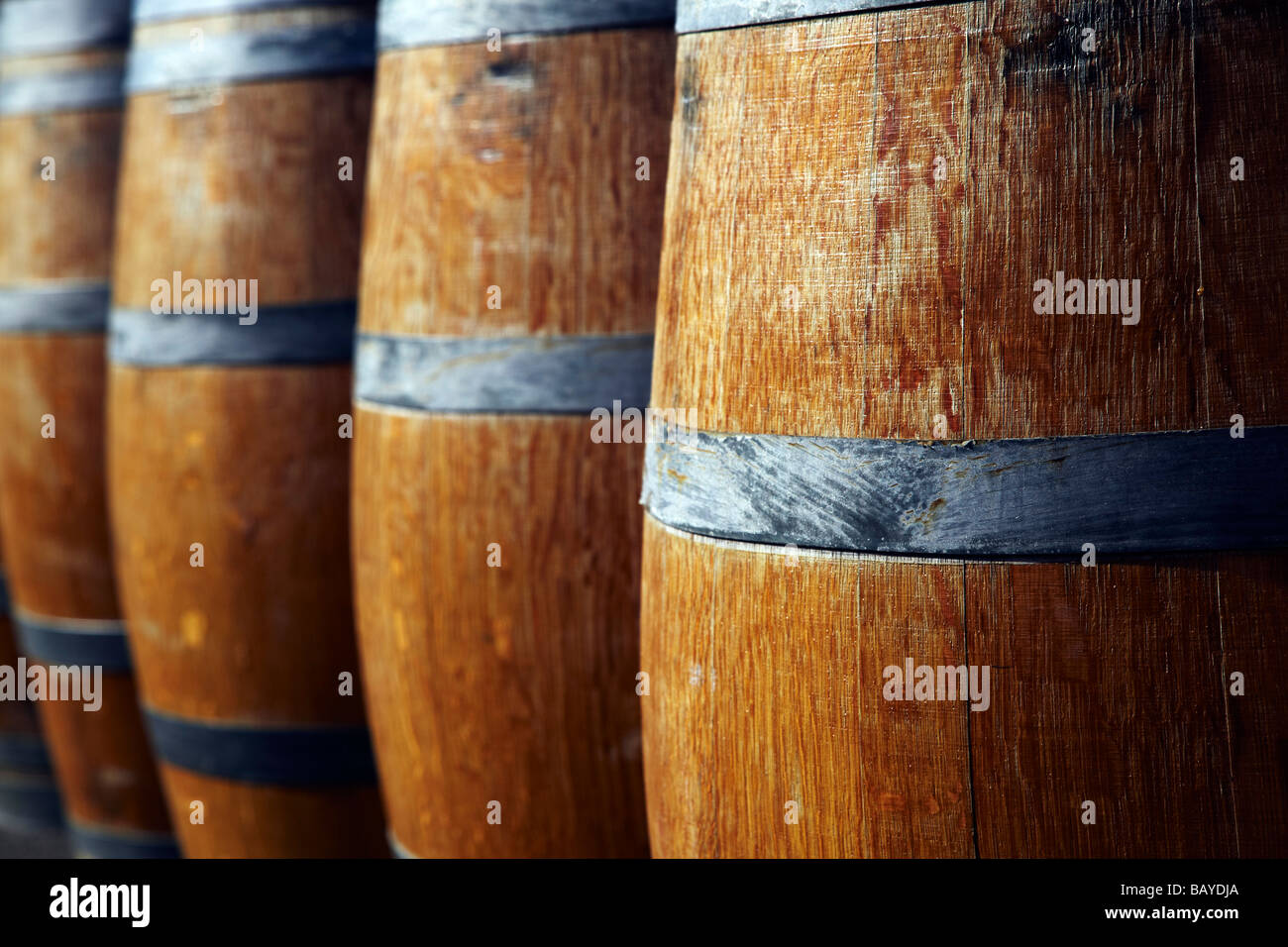oak wine barrels, wine barrels Stock Photo Alamy
