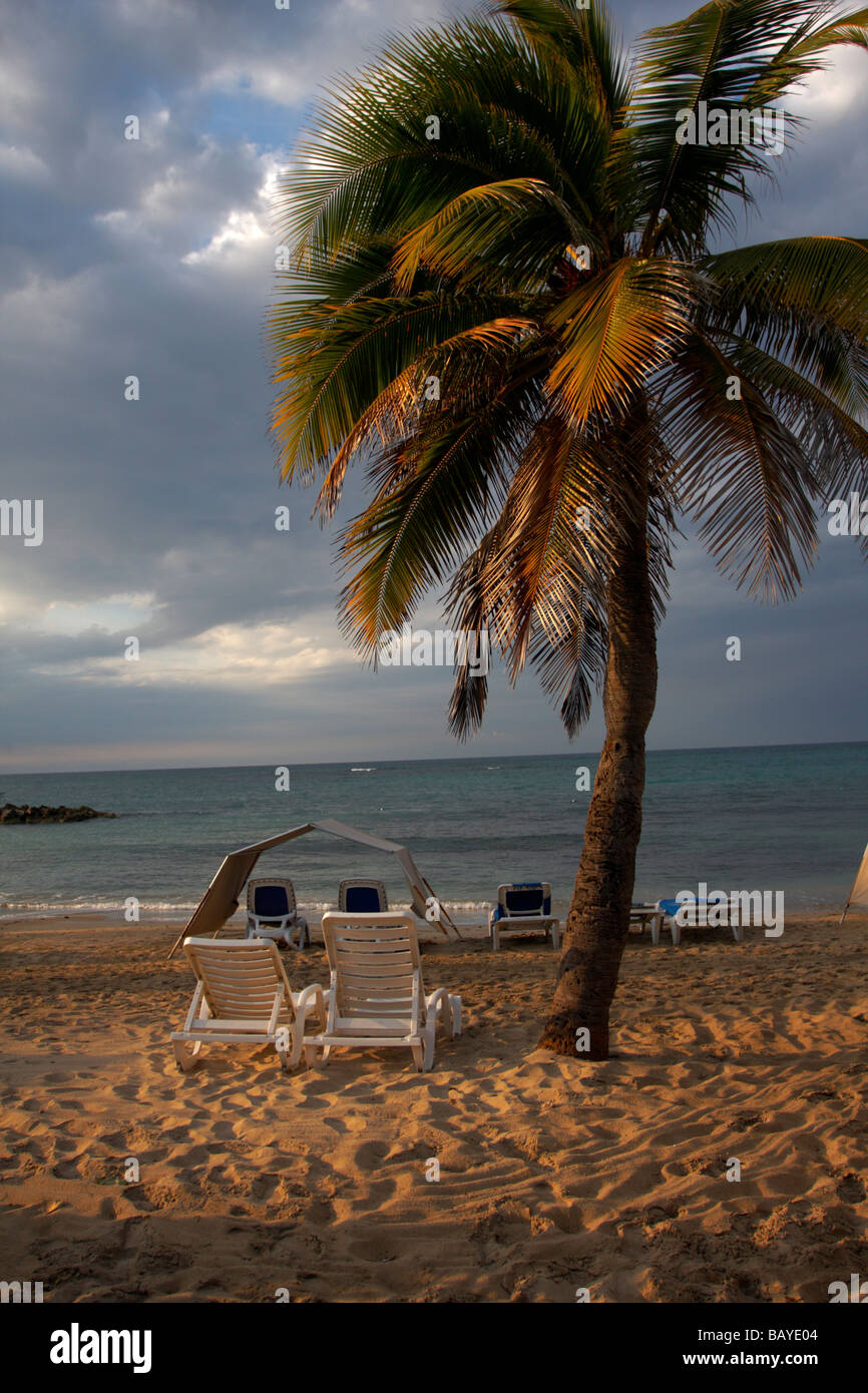 Jamaica beach palm hi-res stock photography and images - Alamy
