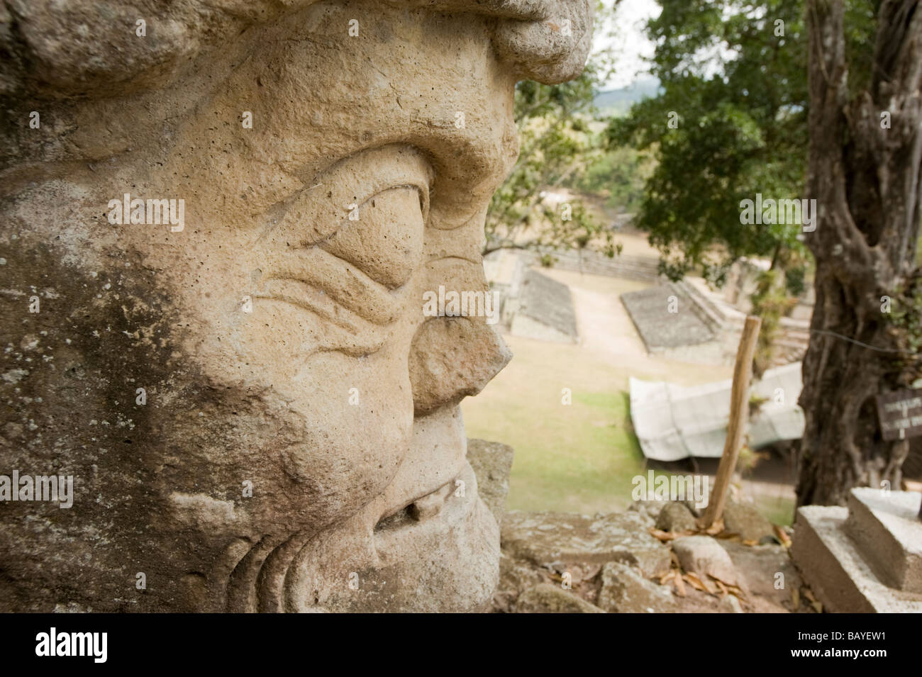 Copan Ruinas Mayan archaeological park, Honduras. Stock Photo