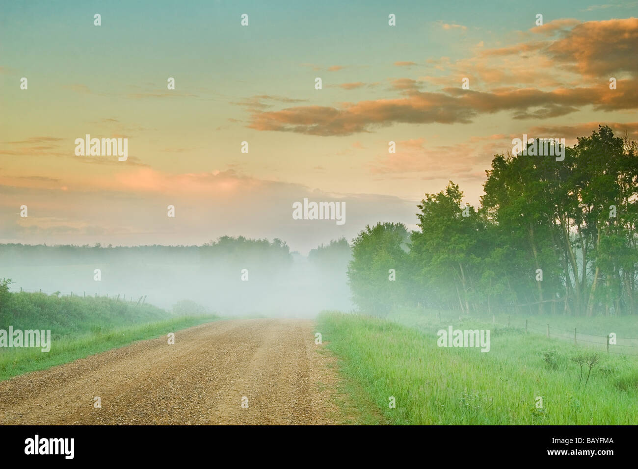 Dawn fog in rural hi-res stock photography and images - Alamy