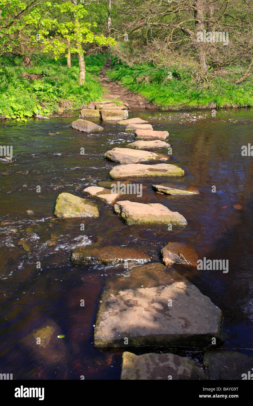 Stepping stones across the River Don at Thurgoland, Barnsley, South ...