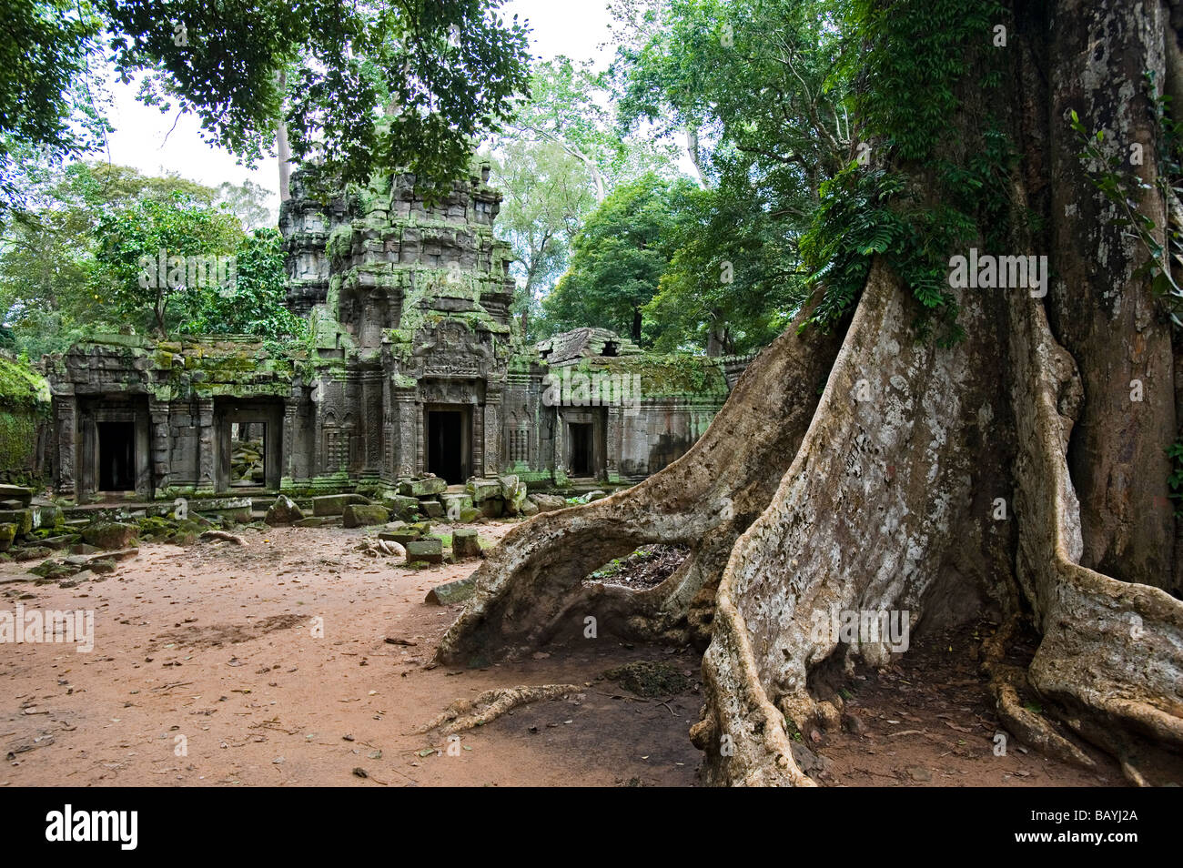 Jungle ruins hi-res stock photography and images - Alamy