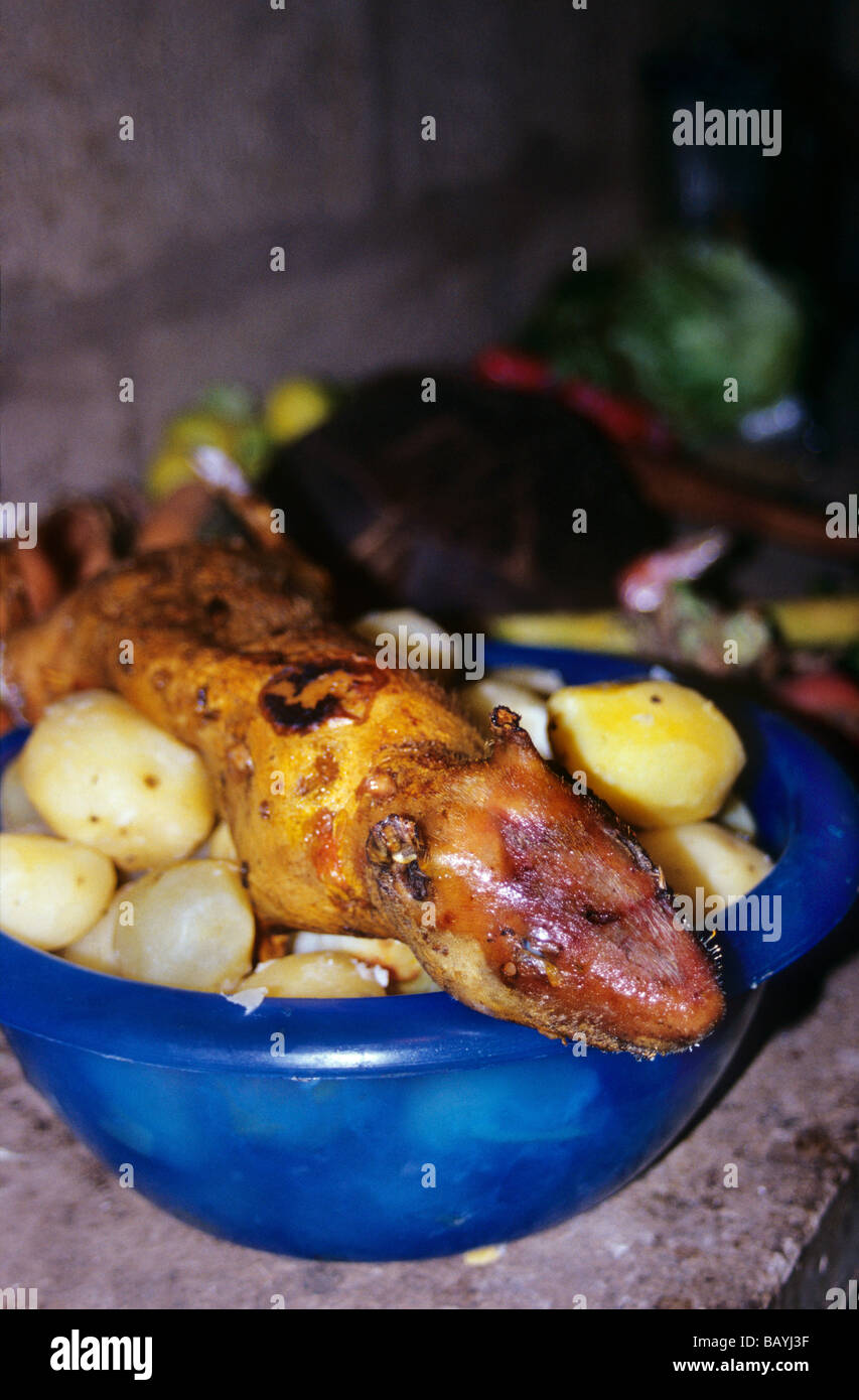 Cuy, an Andean variety of Ginea pig, served as a meal during the Caporal celebrations of Salasaka, Ecuador Stock Photo