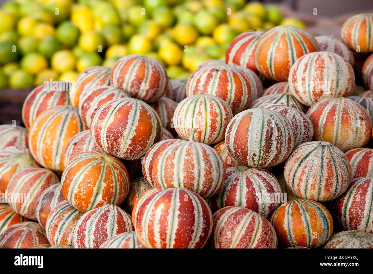 Melons at a Fruit Market in Old Delhi India Stock Photo Alamy