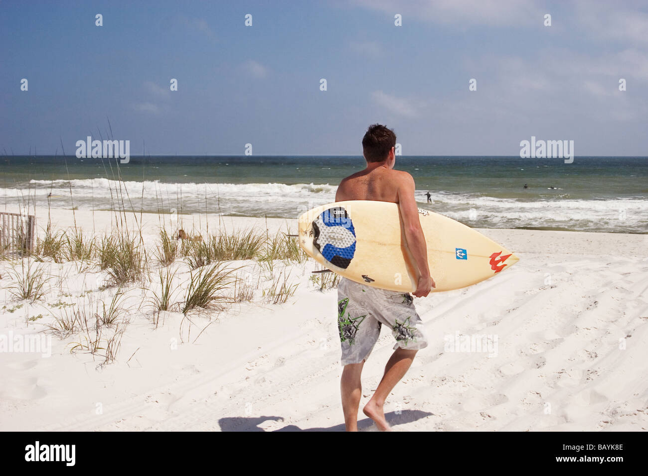 Florida Surfing Stock Photos - Free Download With Trial