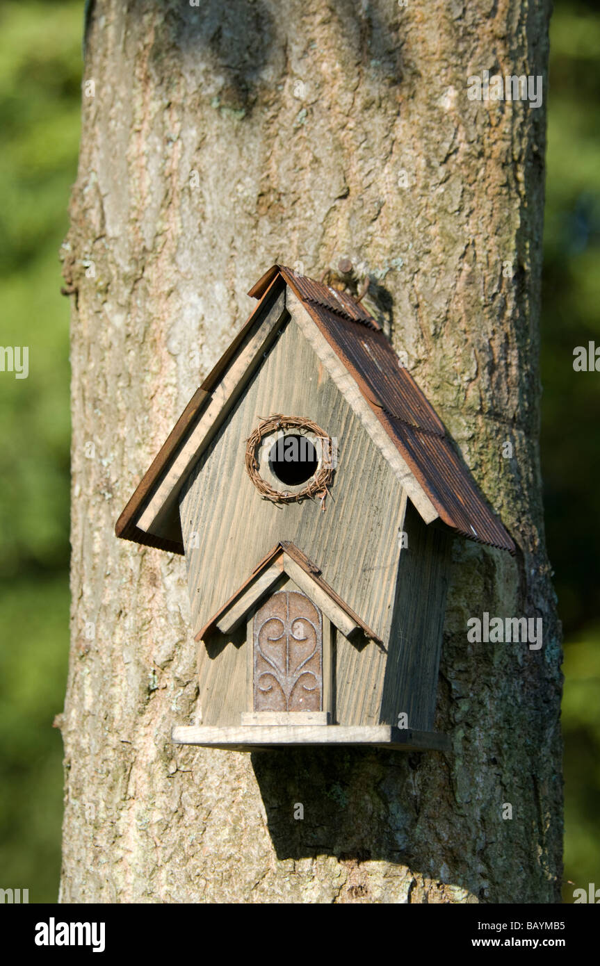 Unusual Bird Nesting Box Stock Photo