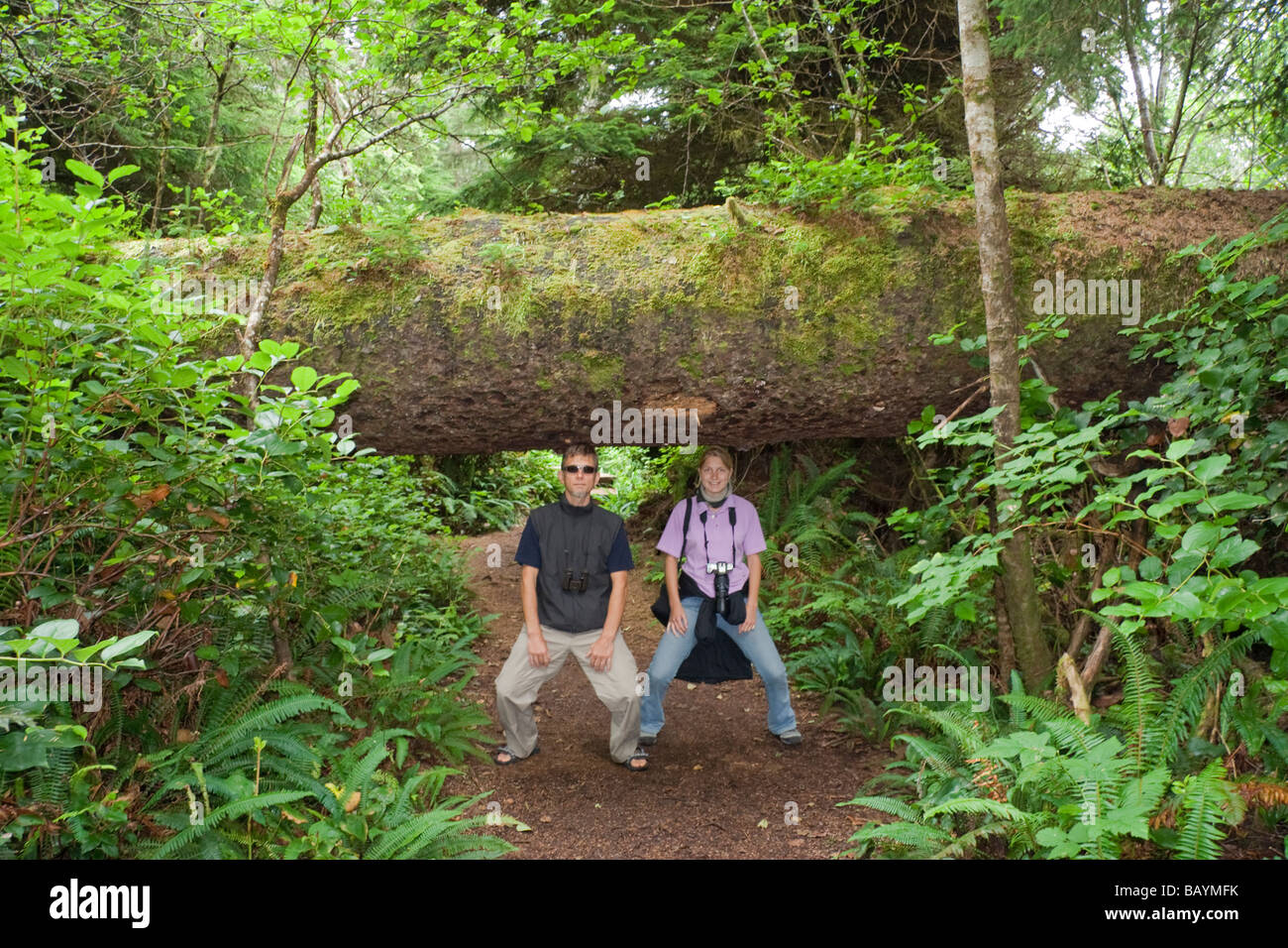 Father and Daughter carrying a giant Tree Stock Photo - Alamy
