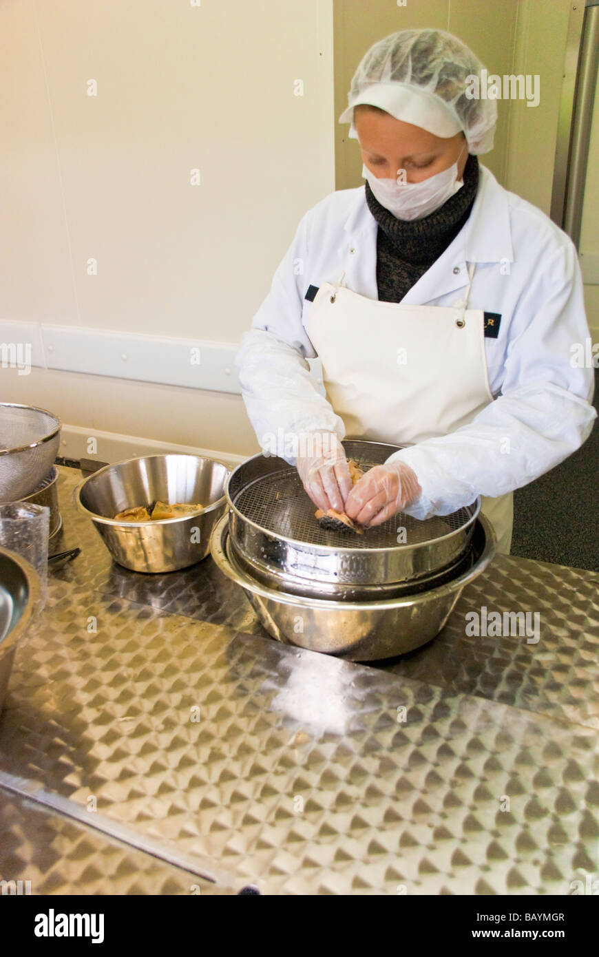 Caviar Production at sturgeon breeding farm Caviar Creator Demmin Mecklenburg Vorpommern Germany
