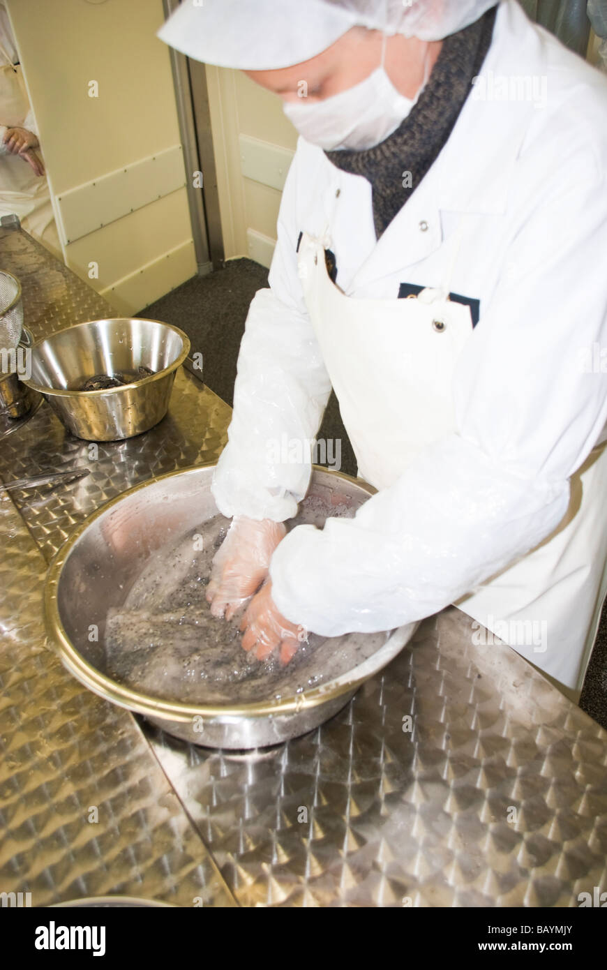 Caviar Production at sturgeon breeding farm Caviar Creator Demmin