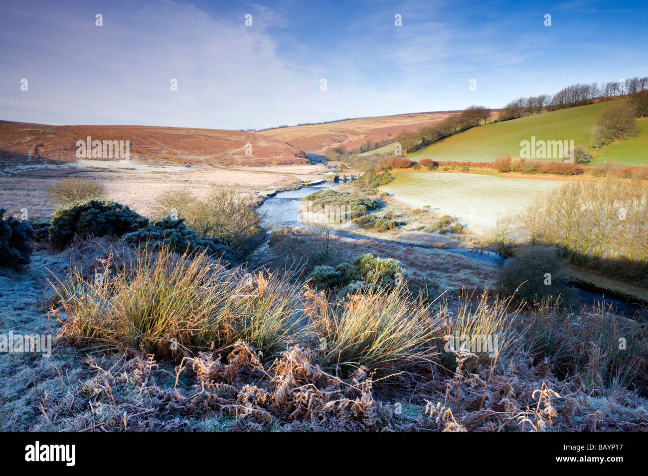 Frost covered moorland landscape near Landacre Bridge Exmoor National Park Somerset England December 2008 Stock Photo