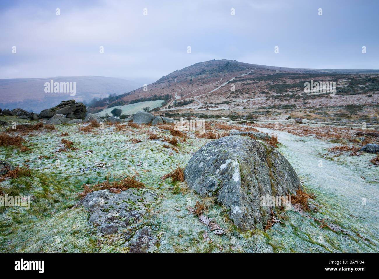 Frosted granite moorland on near Bonehill Rocks, Dartmoor National Park Devon England January 2009 Stock Photo