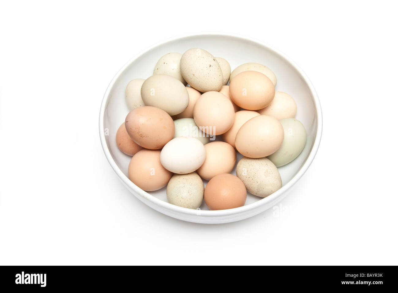 Bowl of free range eggs isolated on a white studio background Stock Photo