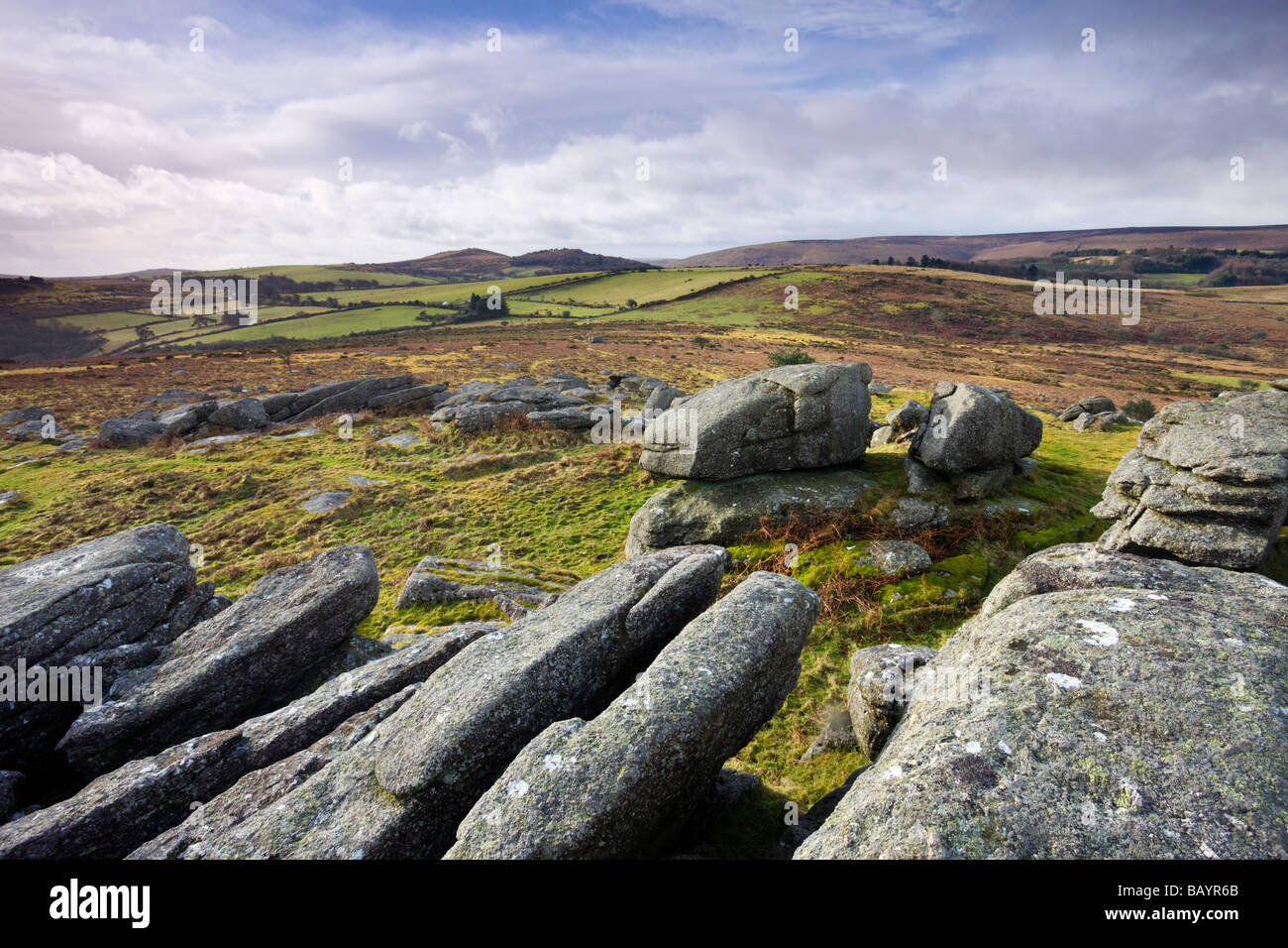 Scattered granite boulders on Hayne Down Dartmoor National Park Devon England January 2009 Stock Photo