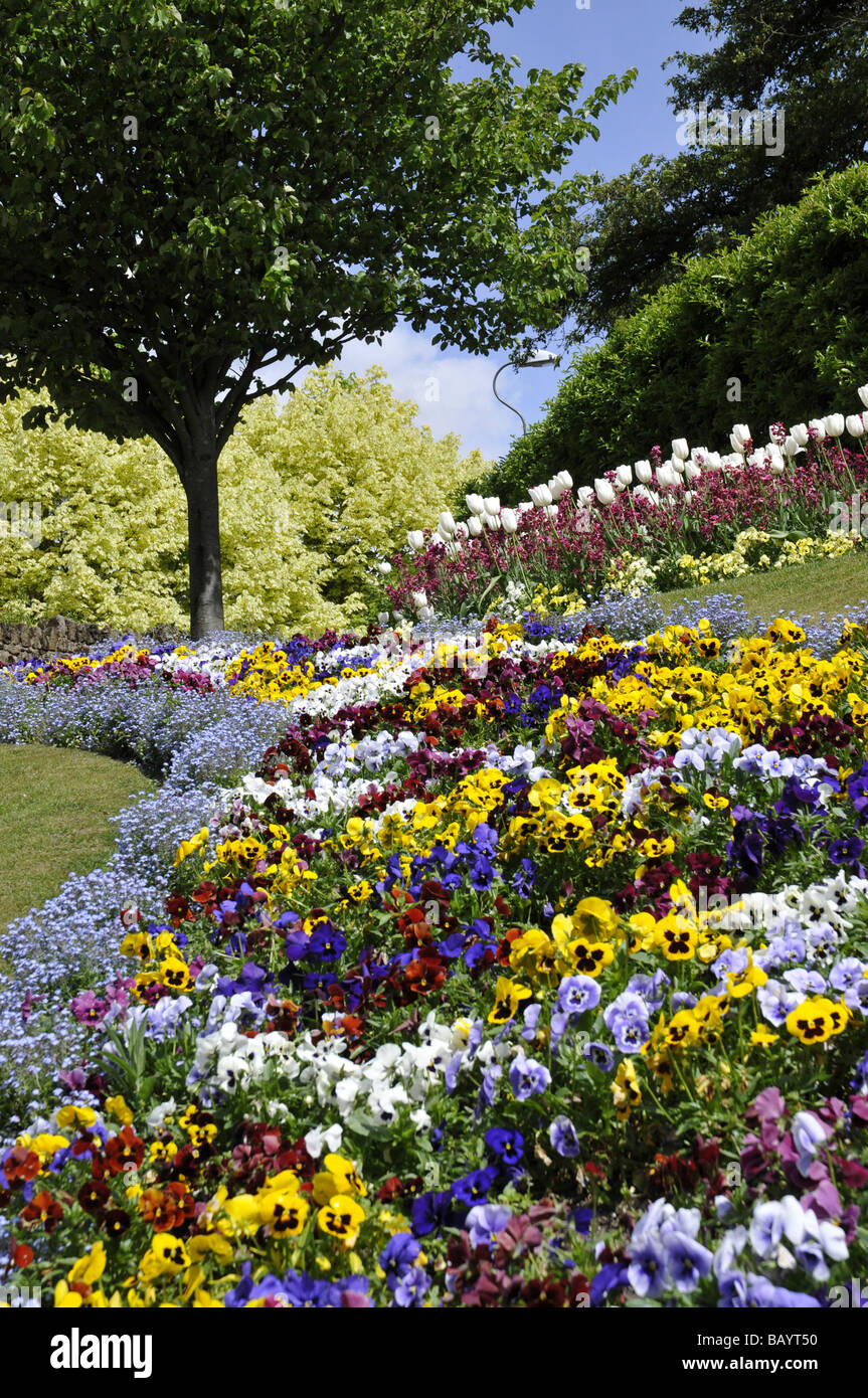 Flower beds in Guildford Castle grounds Stock Photo