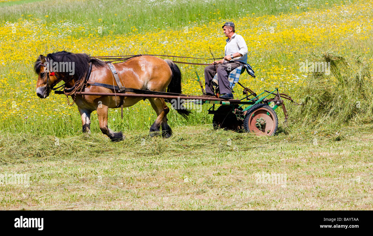 farmer with a horse on meadow Carpathian Mountains Poland Stock Photo