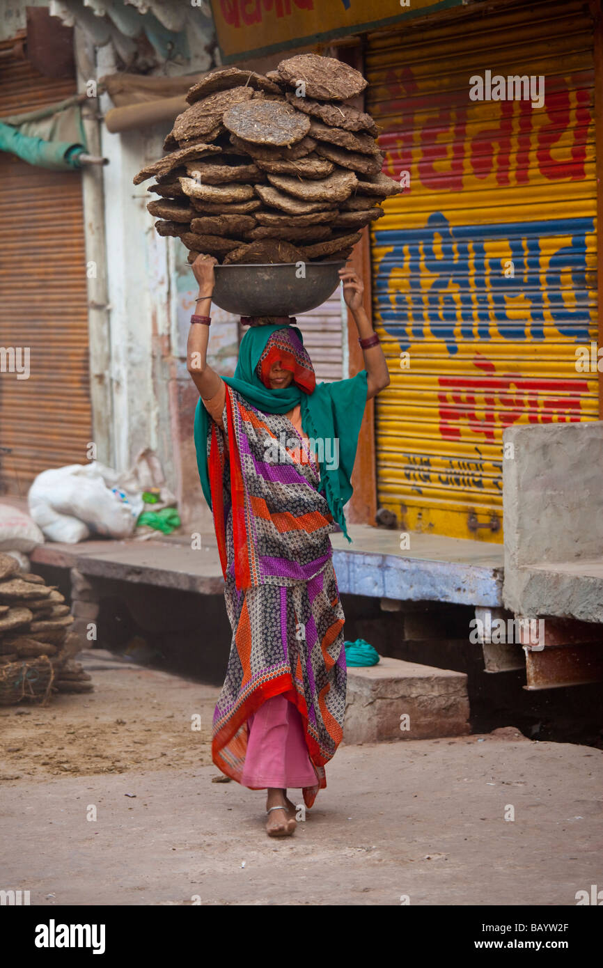 Woman Carrying Dried Cow Dung for Fuel in Fatehpur SIkri India Stock Photo